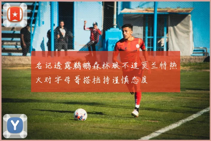 名记透露鹈鹕森林狼不追莫兰特热火对字母哥搭档持谨慎态度