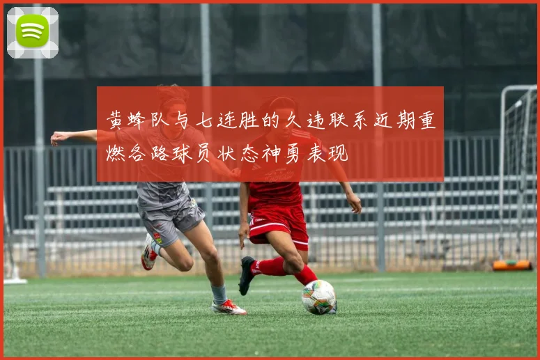 黄蜂队与七连胜的久违联系近期重燃各路球员状态神勇表现